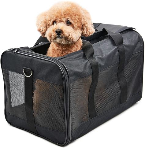 travel bag for small dogs